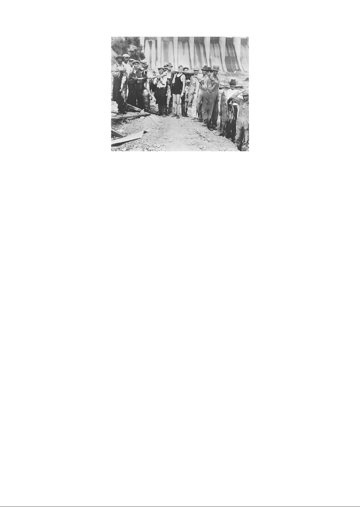 Franklin_Roosevelt_and_the_New_Deal_1932-1941 Image-11